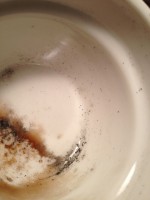 /album/rinko-sato-aico-/img-0006-jpg/