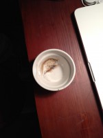 /album/rinko-sato-aico-/img-0007-jpg/